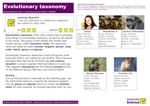 Outstanding Science Year 6 - Living things and their habitats | Evolutionary taxonomy