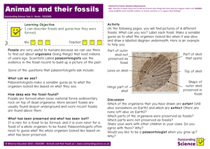 Year 3 Rocks | Outstanding Science