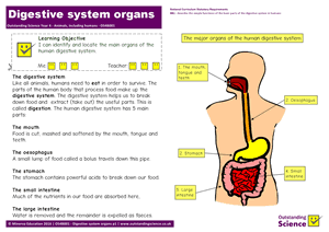 Outstanding Science Year 4 - Animals, including humans | Digestive system organs